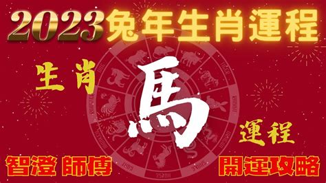 肖馬|屬馬出生年份/幾多歲？屬馬性格特徵+生肖配對+2024運勢運程一覽